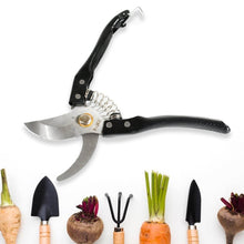 Gardening Tools - Garden Shears Pruners Scissor (1 Pc) - dailyneed.life