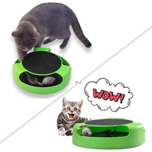 Cat Interactive Toy (Cat Scratching Pad) - dailyneed.life