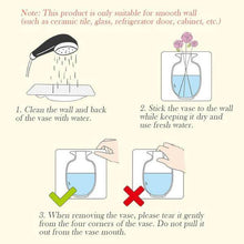 Wall Hanging Silicone Flower Pot Sticker Plant Rack for Decoration (MultiColour) - dailyneed.life