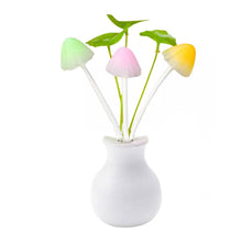 LED Dream Night Light, Auto ON / Off Sensor Mushroom Lamp (Multicolor) - dailyneed.life
