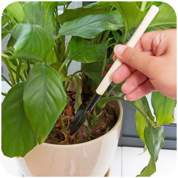 Kid's Garden Tools Set of 3 Pieces (Trowel, Shovel, Rake) - dailyneed.life