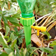 Drip Irrigation kit for Home Garden, Self-Watering Spikes for Plants - dailyneed.life