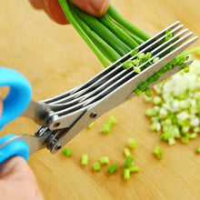 MULTIFUNCTION VEGETABLE STAINLESS STEEL HERBS SCISSOR WITH 5 BLADES - dailyneed.life