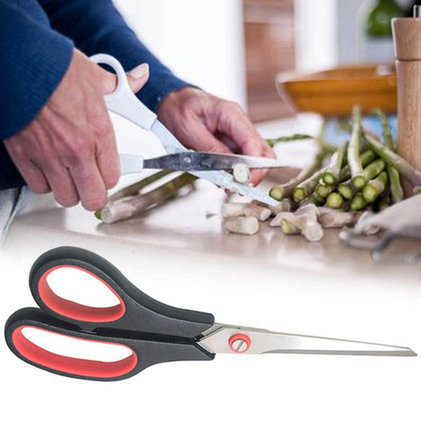Scissor Set (2 pcs) - dailyneed.life