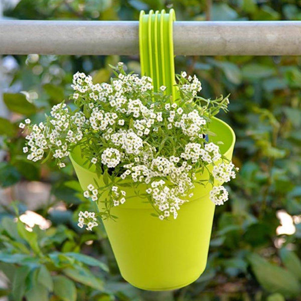 Plastic Hanging Planter Pot, Multicolour, - dailyneed.life