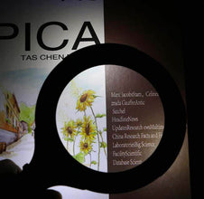 Magnifying Glass with 3 Led Light 3X Power and Rubberized Handle - dailyneed.life