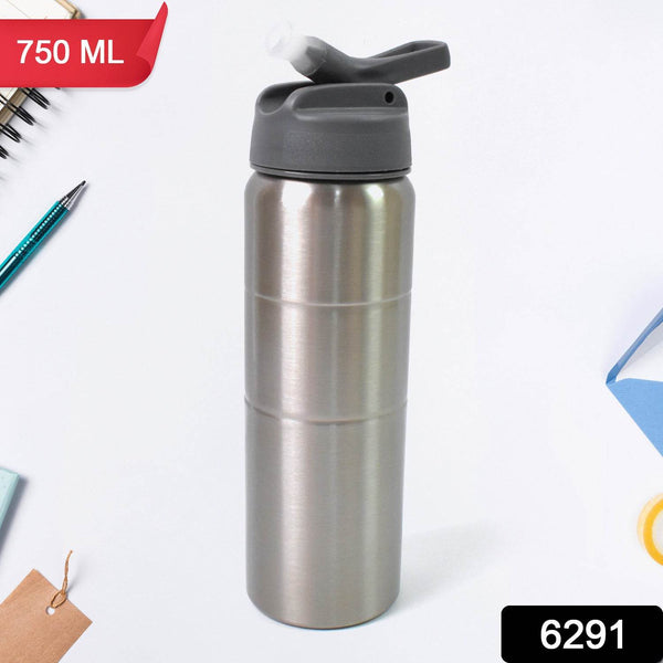 Steel Water Bottle | Fridge Water Bottle with straw (750ML) - dailyneed.life