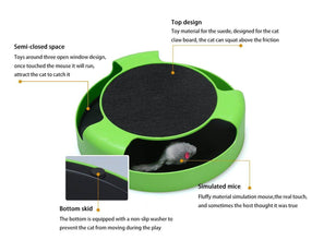 Cat Interactive Toy (Cat Scratching Pad) - dailyneed.life