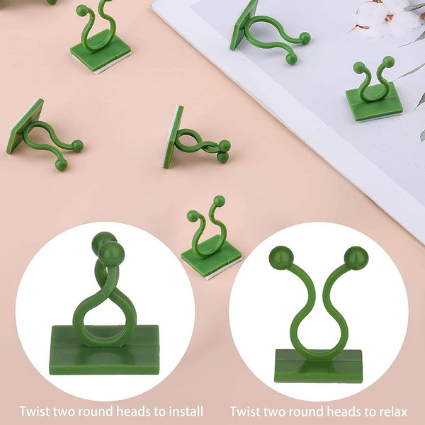 30pcs wall Plant Climbing Clip widely used for holding plants and poultry purposes and all (Box/30 Pcs Set) - dailyneed.life