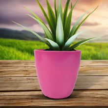 Plastic Flower Valencia (Pot) Home and Outdoor (1 Pc/Mix Colour) - dailyneed.life