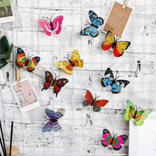 The Butterfly 3D Night Lamp Comes with 3D Illusion Design Suitable for Drawing Room, Lobby. - dailyneed.life