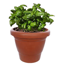 Garden Heavy Plastic Planter Pot / Gamla 6 inch (Brown, Pack of 1, Small) - dailyneed.life