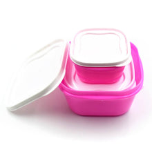3 Pc Multi-Purpose Container used in all kinds of household and official purposes for storing food and stuffs etc. - dailyneed.life
