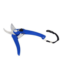 Stainless Steel Garden Scissors, flower cutter - dailyneed.life