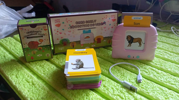 Preschool Learning Toys Flash Cards for Small Kids Educational Toys English Words Learning Machine for Kids with 224 Words, Birthday Gift for Kids Intelligent Electric Kids Language Card (1 Set) - dailyneed.life