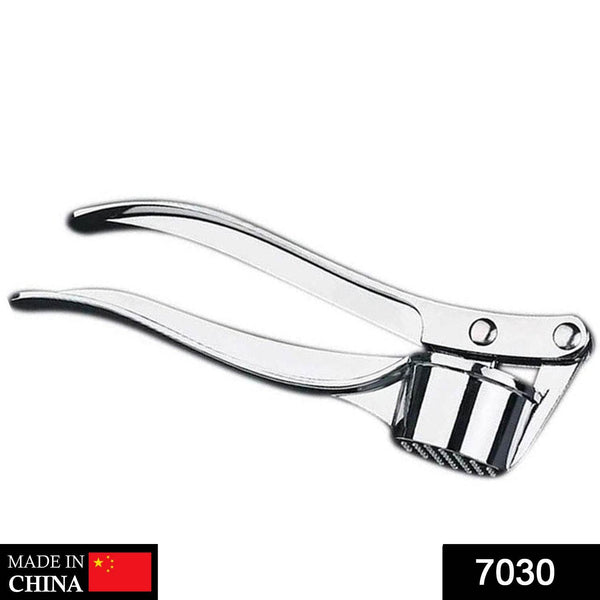 Stainless Steel Garlic Press Crusher - dailyneed.life