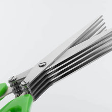 Stainless Steel 5-Blade Herb Scissors - dailyneed.life