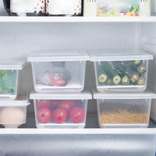 Food Storage Container with Removable Drain Plate and Lid, 1500 ml (Pack of 1 Pc) - dailyneed.life