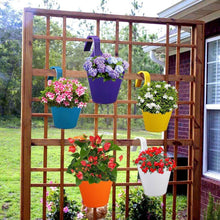 Plastic Hanging Planter Pot, Multicolour, - dailyneed.life