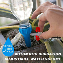Drip Irrigation kit for Home Garden, Self-Watering Spikes for Plants - dailyneed.life