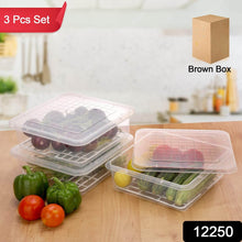 Plastic Food Storage Containers with Removable Drain Tray and Lid (3 Pcs Set) - dailyneed.life
