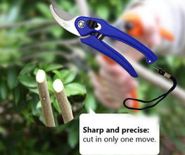 Stainless Steel Garden Scissors, flower cutter - dailyneed.life