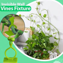 30pcs wall Plant Climbing Clip widely used for holding plants and poultry purposes and all (Box/30 Pcs Set) - dailyneed.life