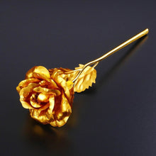 B Golden Rose is perfect for decorating homes, offices, cafes - dailyneed.life
