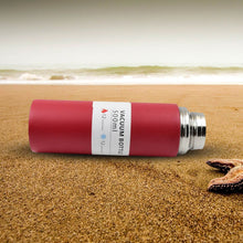 Stainless Steel Vacuum Insulated Water Bottle With Coffee / Tea Mug (500 ML) - dailyneed.life