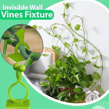 Plant Climbing Wall Clips Self-Adhesive Money Plant Support Clips Vine Plant Climbing Fixing Clip (10 Pcs Set) - dailyneed.life