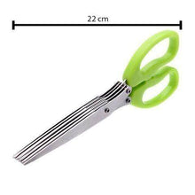 Stainless Steel 5-Blade Herb Scissors - dailyneed.life