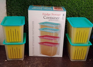 Fridge Storage Containers with Handle Plastic Storage Container for Kitchen(4 Pcs Set) - dailyneed.life