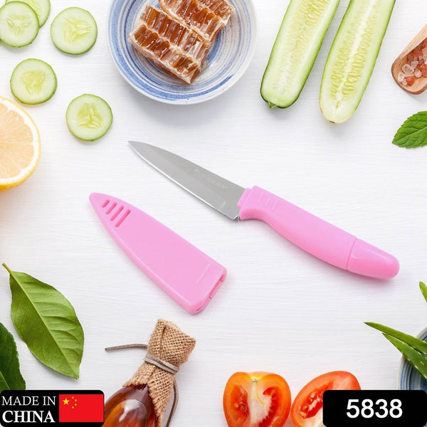 Sharp Fruit Knife (Stainless Steel, Comfortable Grip): 1 Pc - dailyneed.life