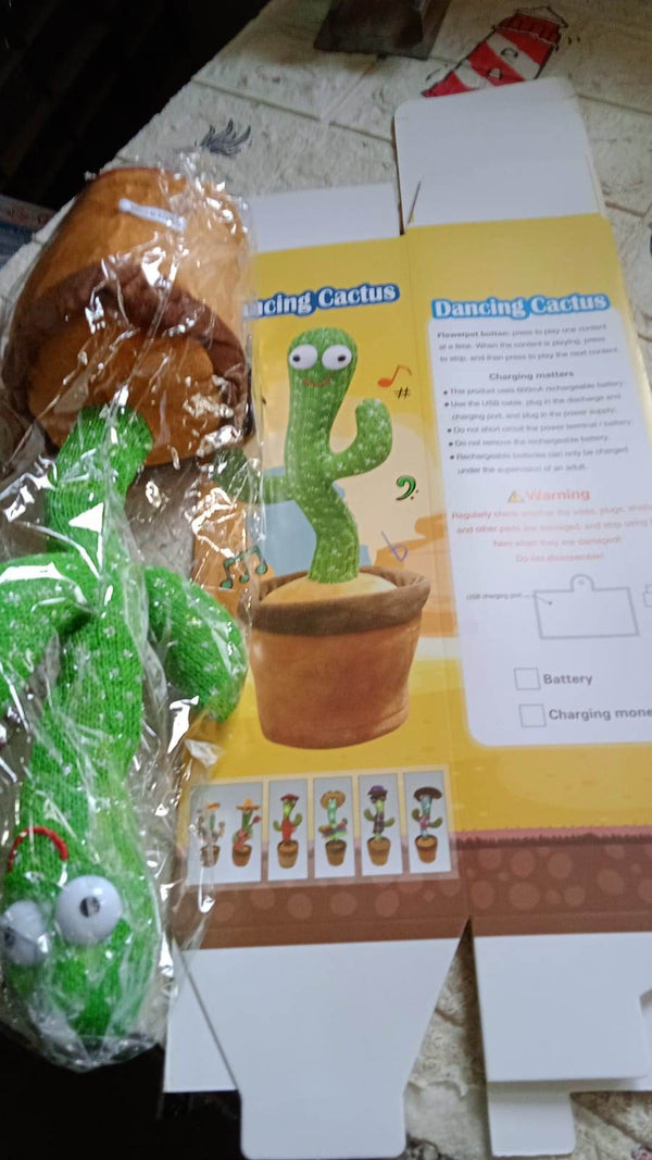Dancing Cactus Toy - dailyneed.life