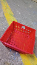 Flexi fold Storage Basket Box with Holes Ventilated Design (23×20 Cm / 1 Pc) - dailyneed.life