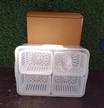 Fridge Storage Box – Freezer & Kitchen Organizer for Vegetables & Food (1 Pc) - dailyneed.life