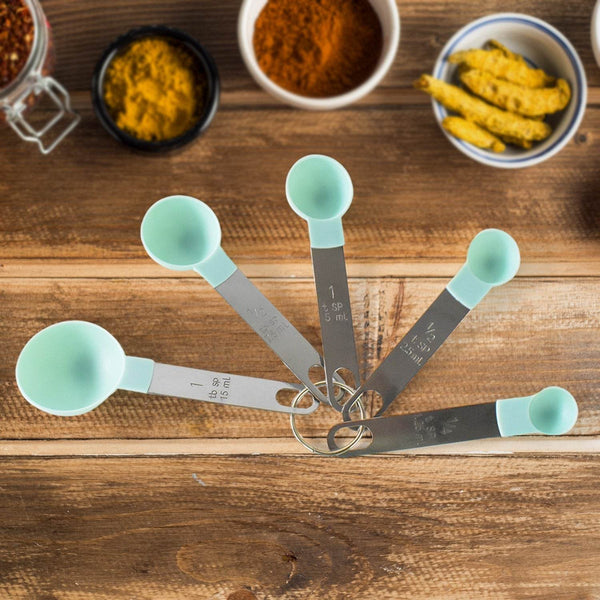 Stainless Steel and Plastics Measuring Spoon (Set of 5 Pc) - dailyneed.life