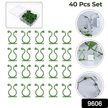 Plant Climbing Wall Fixture Clip Self-Adhesive Hook (40 Pcs Set / With plastic box) - dailyneed.life