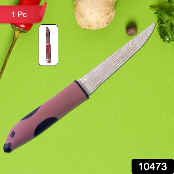 Multi-Purpose Stainless Steel Kitchen Cutting Knife (1 Pc) - dailyneed.life