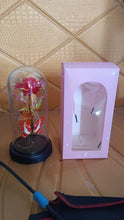 Elegant LED Eternal Rose in Plastic Dome (1 Pc / Battery Not included) - dailyneed.life