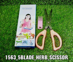 Stainless Steel 5-Blade Herb Scissors - dailyneed.life