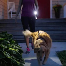 Portable Mini Torch / Flashlight LED Powerful High Lumens Pen Light Easy To Carry, Portable Pocket Compact Torch for Emergency 3 Battery operated (Battery not included / 1 pc) - dailyneed.life