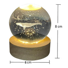 Fish 3D Crystal Ball lamps With Base (1 Pc) - dailyneed.life