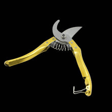 Gardening Tools - Garden Shears Pruners Scissor (1 Pc) - dailyneed.life