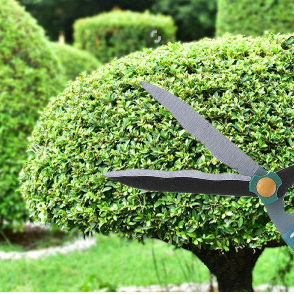 Garden Big Scissor - dailyneed.life