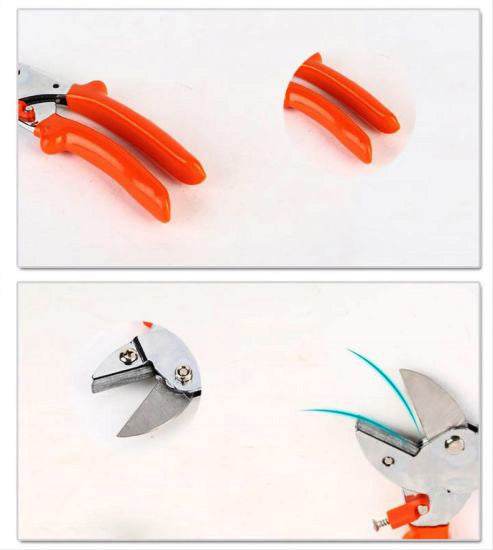 Professional Garden Scissor with Sharp Blade Comfortable Handle - dailyneed.life