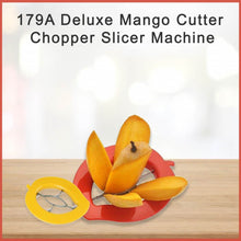 Deluxe Mango Cutter Chopper Slicer Machine - dailyneed.life