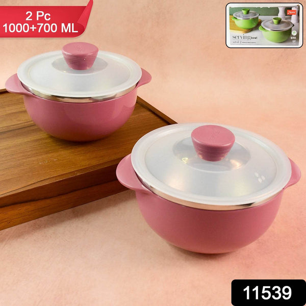 Apex Premium Plastic Serving Bowl Set with Lids (2 Pc) - dailyneed.life
