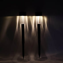 Solar-Powered LED Garden Spike Light Set (31x5cm / 2 Pc) - dailyneed.life