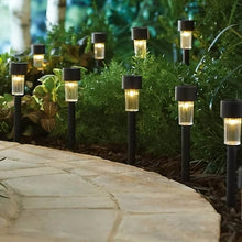 Solar-Powered LED Garden Spike Light Set (31x5cm / 2 Pc) - dailyneed.life